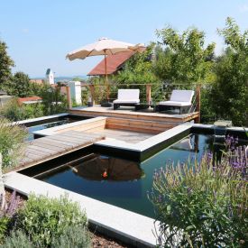Koi-Teich-Anlage.jpg