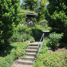 Treppe-naturnah.JPG