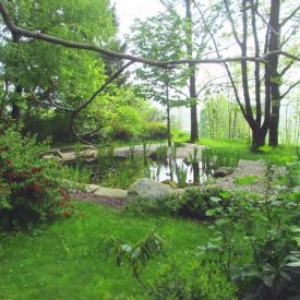gartenteich-reischl.jpg