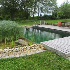 naturpool-filter-bewachsen.jpg