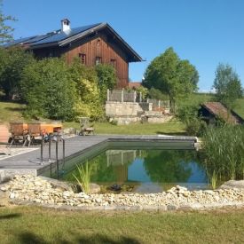 Schwimmteich-Passsau.jpg