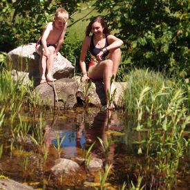 teich-findlinge-reischl.jpg