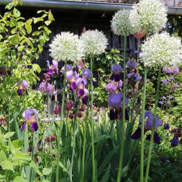 Gartengestaltung