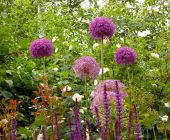 reischl-blumen-gestaltung.jpg