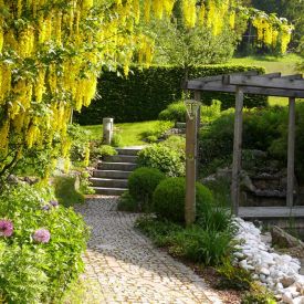 gartenweg-gartengestaltung.jpg