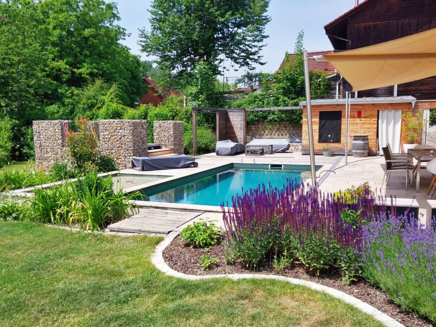 Naturpool | Gartengestaltung Reischl