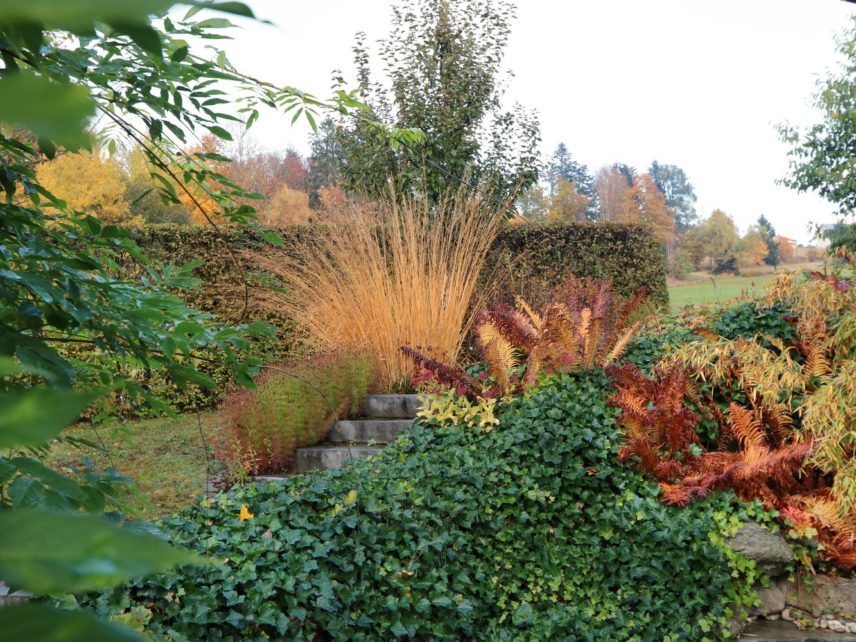 Garten im Herbst 2
