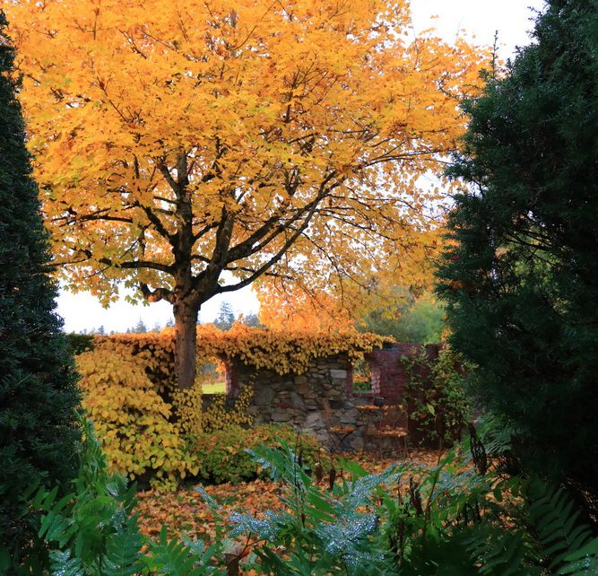 Garten im Herbst