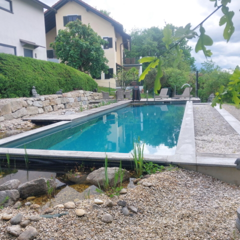 Naturpool-Ortenburg